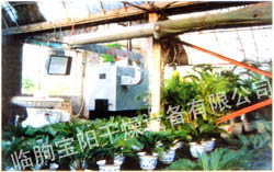 大棚、花卉供暖設備